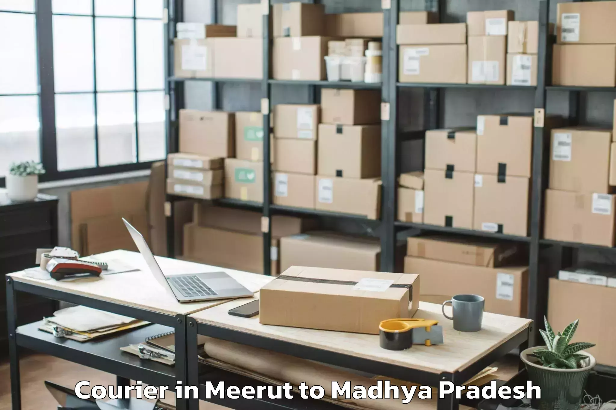 Efficient Meerut to Burhar Courier